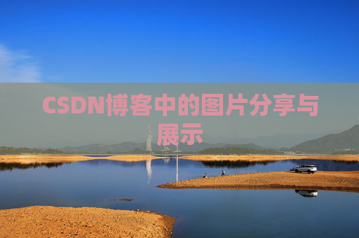 CSDN博客中的图片分享与展示